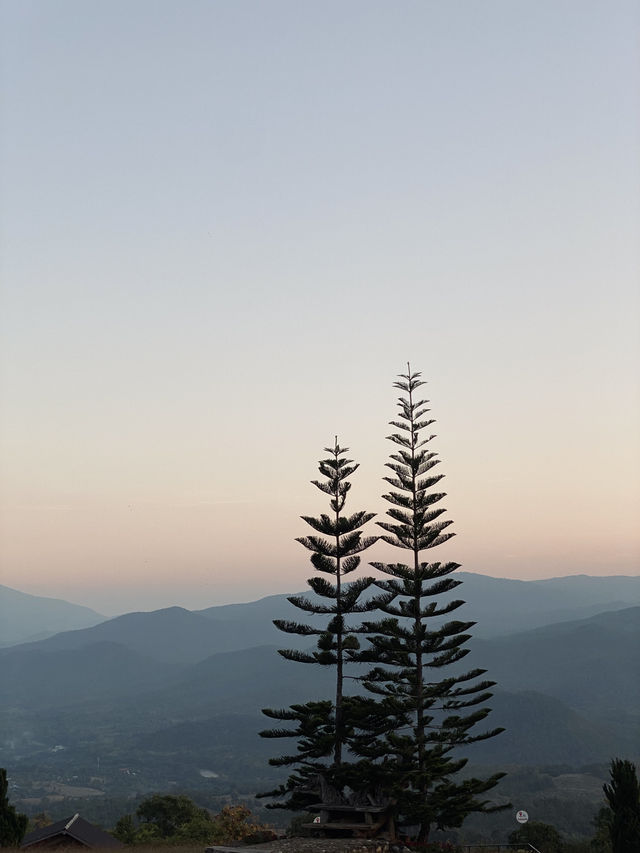 🌲✨ สวนป่าแม่แจ่ม – เชียงใหม่
