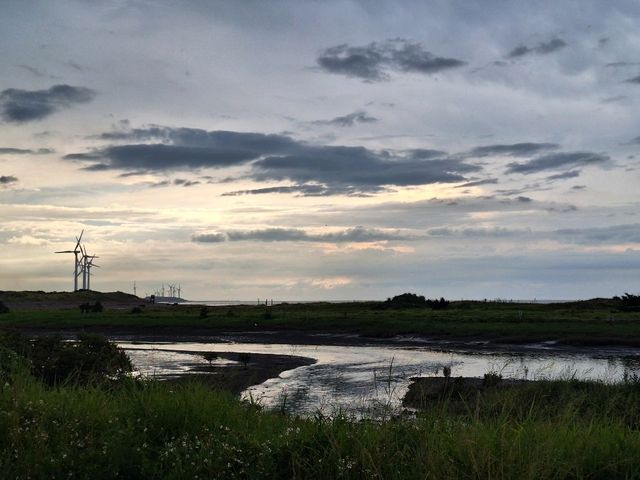 夕陽美景-許厝港濕地