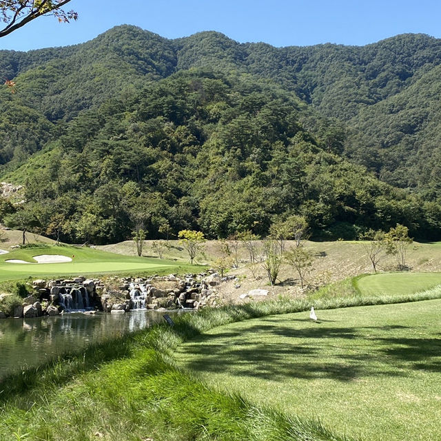 성문안cc 고급 퍼블릭 골프장