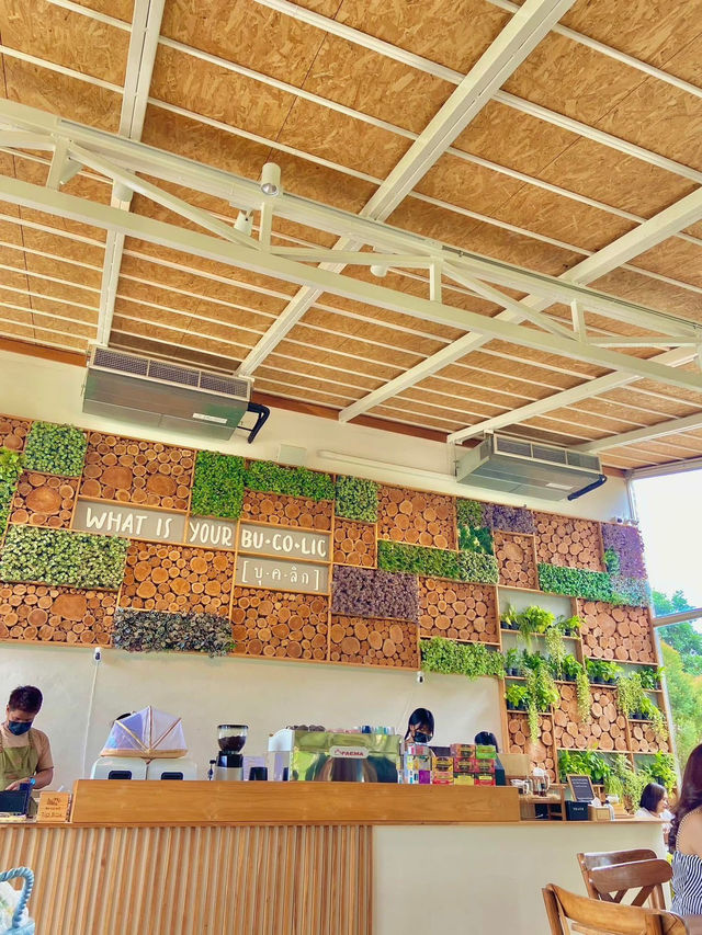 BU-CO-LIC khao yai