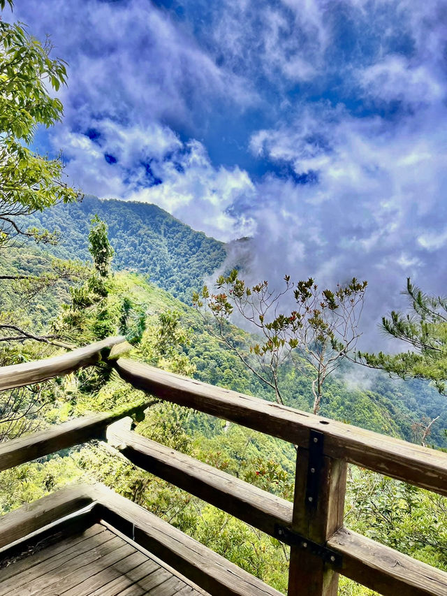 夏天就是要去中級山避暑