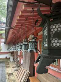 春日大社：在奈良感受神社的靈氣，探訪自然與文化的和諧交融！