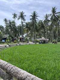 Peaceful Escape to Kampung Agong: Embracing Nature and Nostalgia