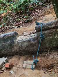 ⛰️ Bukit Kledang, Perak – Choose Your Trail, Choose Your Challenge!