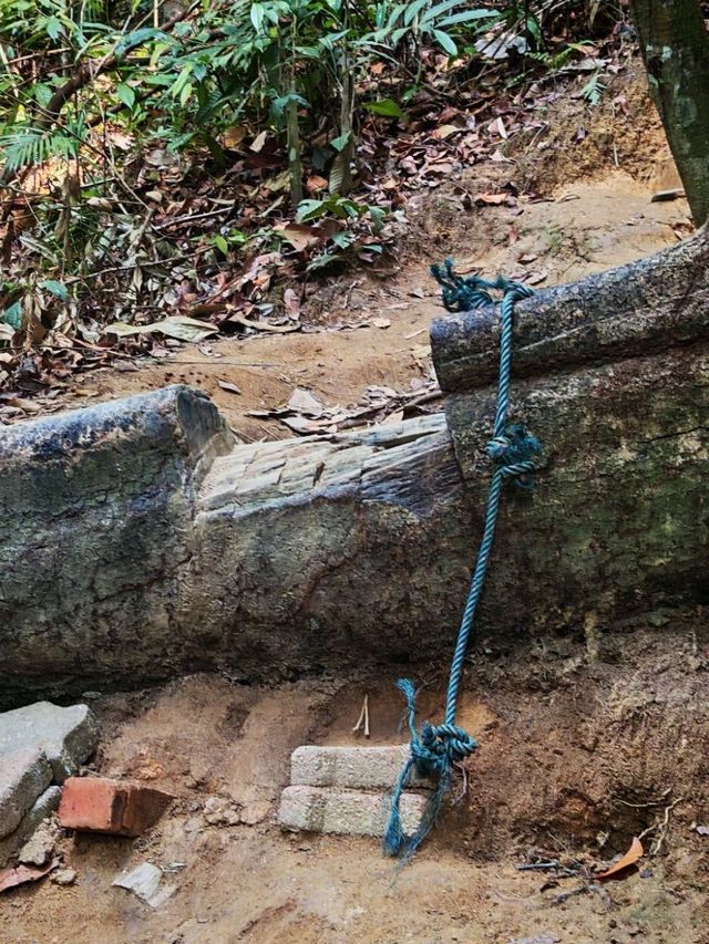 ⛰️ Bukit Kledang, Perak – Choose Your Trail, Choose Your Challenge!