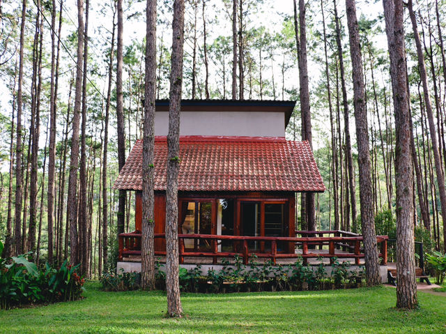 Doi Bo Luang Forest Park