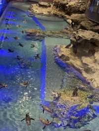 Sumida Aquarium🐠