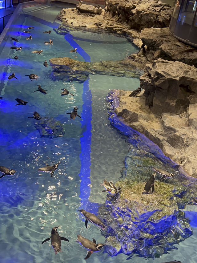 Sumida Aquarium🐠
