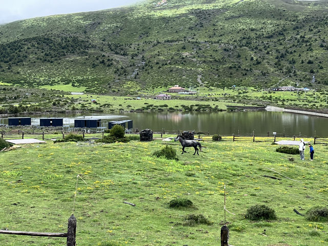 🌈 Kangding’s Muya Holy Land – Where Summer Brings Snow & Rainbows ❄️🐾
