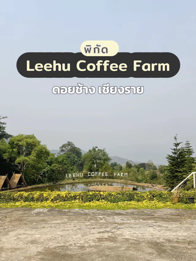 พิซซ่าทำเอง ดอยช้าง เชียงราย