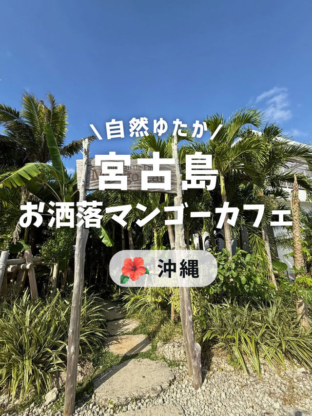 お洒落なマンゴーカフェ🥭