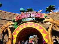 Barrel Roll Through Donkey Kong Country!