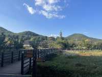 도심 속 힐링 숲길🌿 부산 회동수원지 공원 산책길