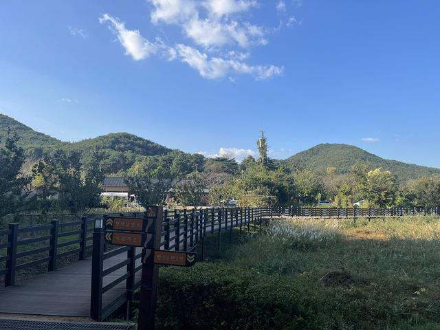 도심 속 힐링 숲길🌿 부산 회동수원지 공원 산책길