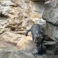 San Antonio Zoo