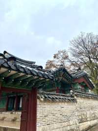 Rainy day of Changdeokgung Palace 
