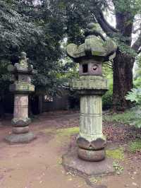 Ueno Park: A Peaceful Escape in the Bustling City