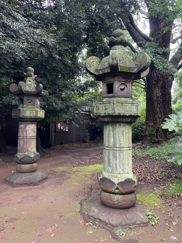Ueno Park: A Peaceful Escape in the Bustling City