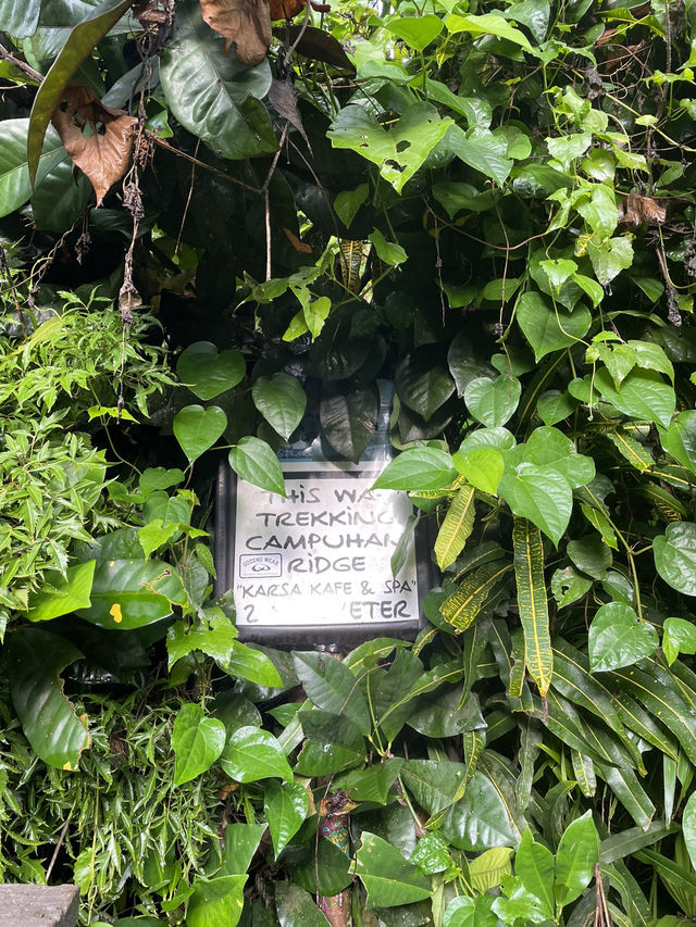 🇮🇩 Campuhan Ridge Walk