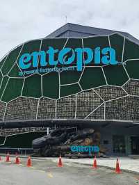 Wings of Wonder: Discover Entopia’s Living Paradise