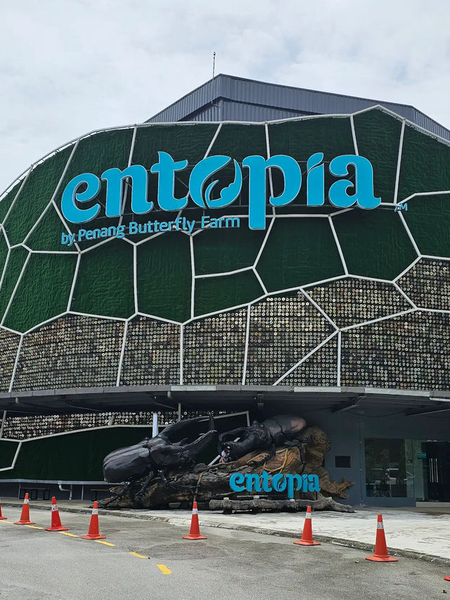Wings of Wonder: Discover Entopia’s Living Paradise