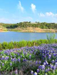 Muleshoe Bend Recreation Area