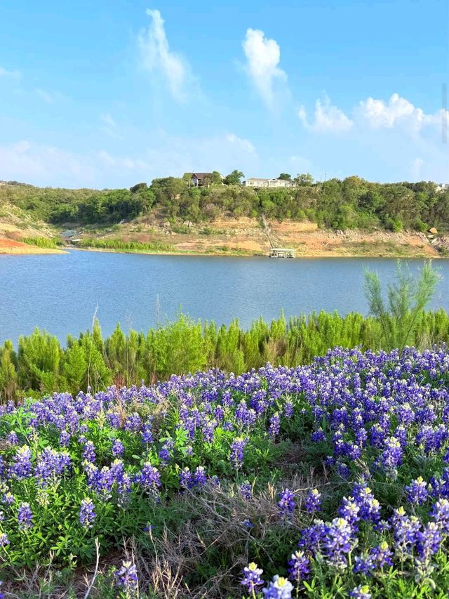 Muleshoe Bend Recreation Area