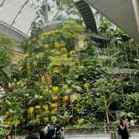 The jewel at Changi airport. Let’s see what all the fuss is about!