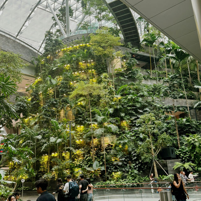The jewel at Changi airport. Let’s see what all the fuss is about!