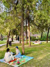  Stillness and Sacrifice: A Quiet Pause at Beifa Martyrs Monument, Zhengzhou