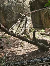 Houston Zoo