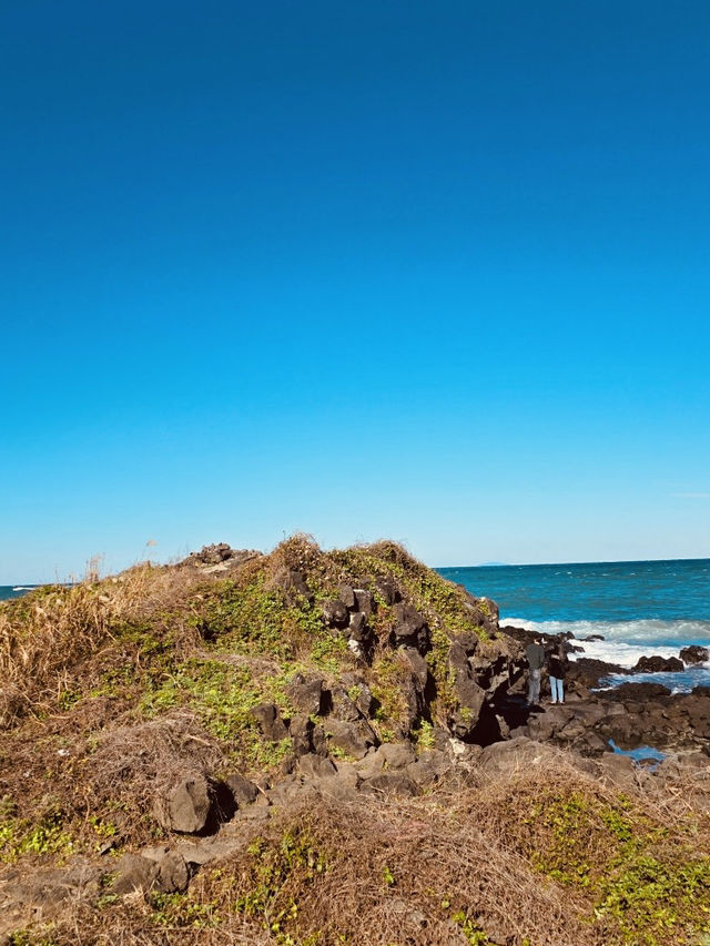 Accessible Coastal Beauty with Unique Geological Features