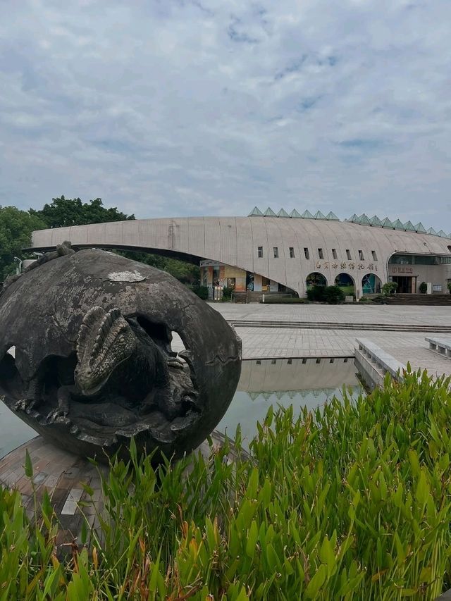 Zigong Is Dinosaurs, Lanterns, and Unexpected Good Vibes