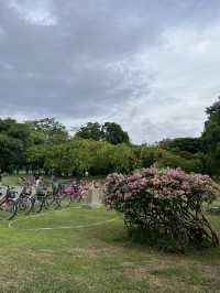 Chatuchak Park สวนจตุจักร
