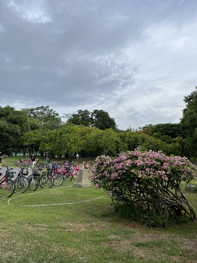 Chatuchak Park สวนจตุจักร