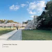 Maizura Park| Fukuoka