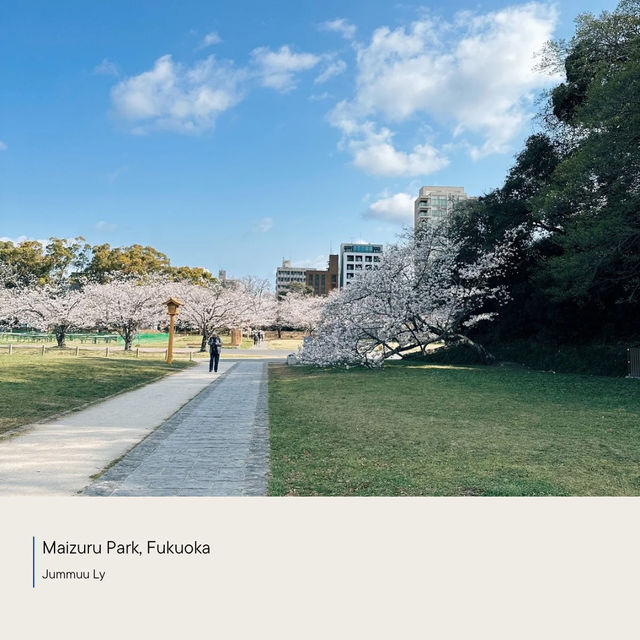 Maizura Park| Fukuoka