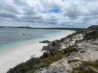 Rottnest Island