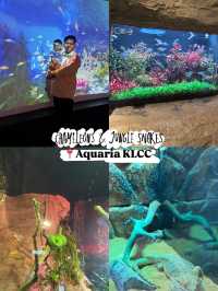 Chameleons & Jungle Snakes