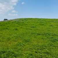 A Peaceful Escape to Authentic Jeju Nature