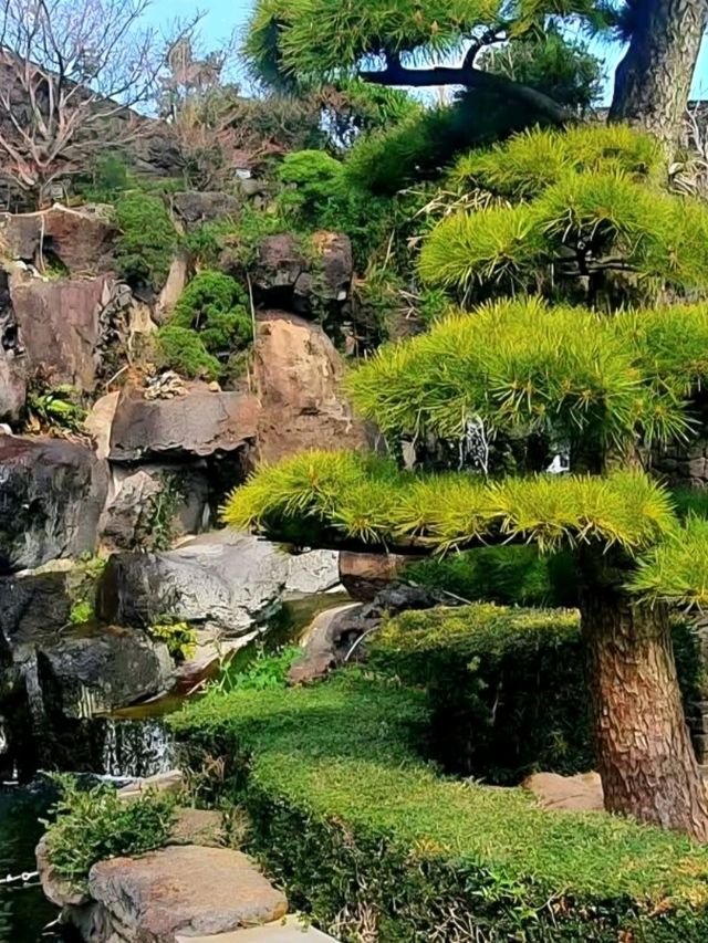 Spirited Garden – A Peaceful Retreat in Jeju