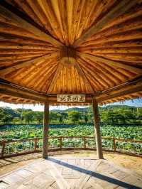 Goljeongji Pond