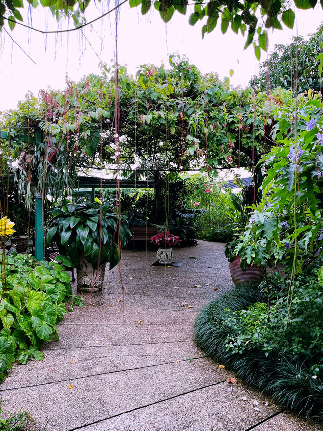 Secret Garden at 1 Utama: A Hidden Floral Paradise