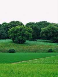 A Sanctuary Where Nature And 5,000 Years Of History Breathe Together