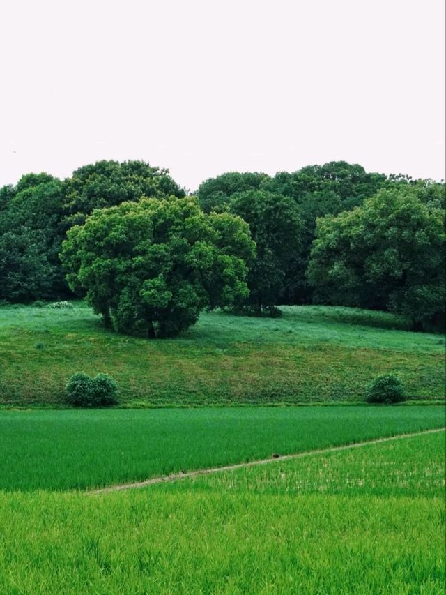A Sanctuary Where Nature And 5,000 Years Of History Breathe Together