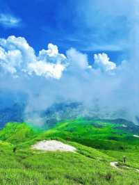 雲霧仙境—定山