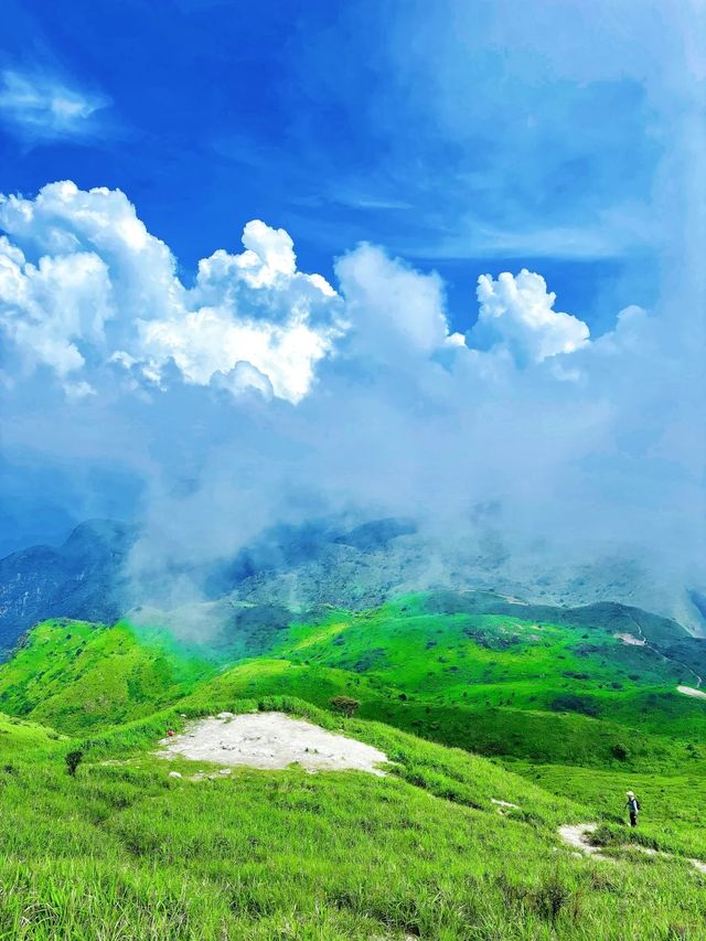 雲霧仙境—定山 雲霧仙境—定山