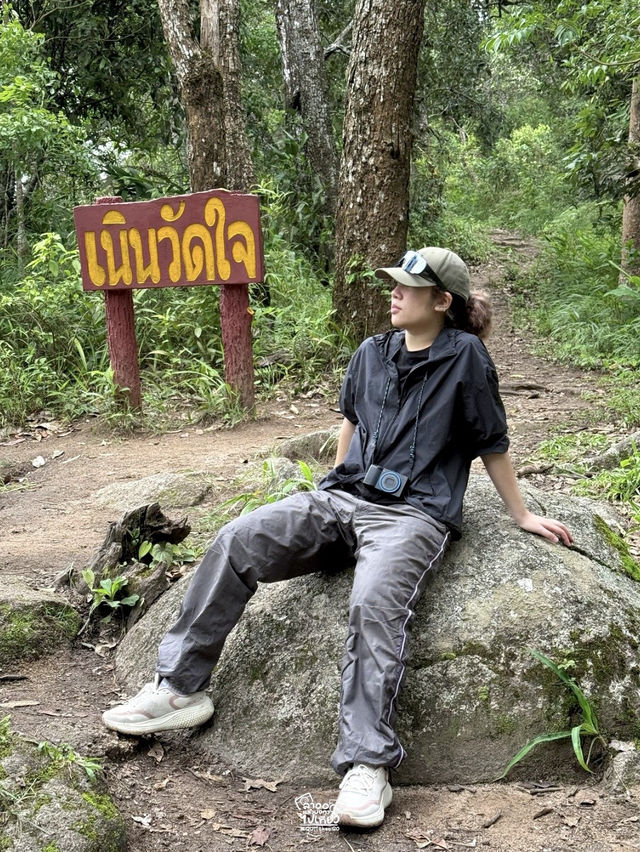 ไปเติมพลังให้ธรรมชาติโอบกอดกัน !!! ไปเติมพลังให้ธรรมชาติโอบกอดกัน !!!