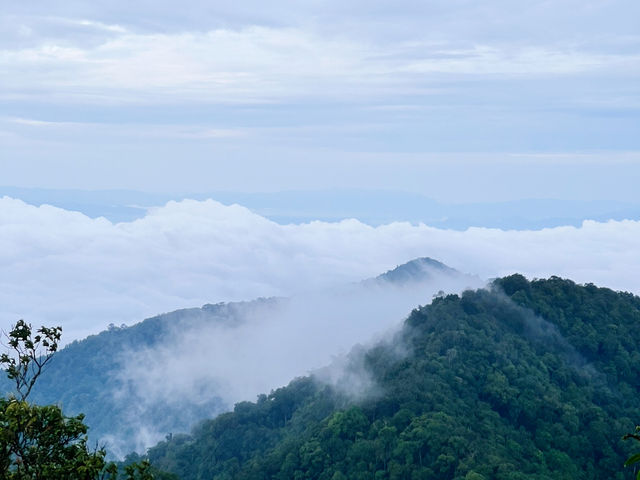 อุทยานแห่งชาติดอยขุนตาล อุทยานแห่งชาติดอยขุนตาล