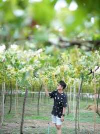 ไร่องุ่นมีสุข (Meesuk Farm Fest)